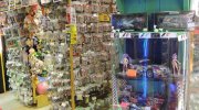 お宝中古市場新潟本店10-404.