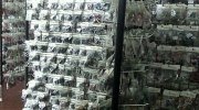 ミニコレ倶楽部11-10