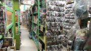 お宝中古市場赤道店10-23