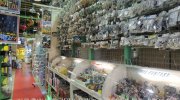 お宝中古市場新潟本店10-22