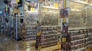 富士鑑定団6