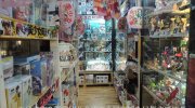 富士鑑定団9
