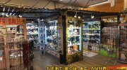 ぐるぐる大帝国結城店86