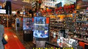 万代書店川越店51