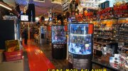万代書店川越店50