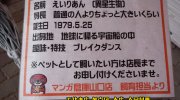 マンガ倉庫山口店201602-18