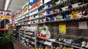 マンガ倉庫本城店201602-19