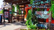 ぐるぐる大帝国館林店201701-192