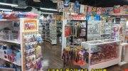 mandaishotenyokkaichihinagaten201706-082
