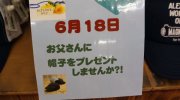otakaraichibankanmiehonten201706-151