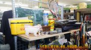otakaracarol2018-054b