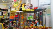 otakaracarol2018-064b
