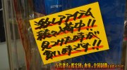 otakaracarol2018-097b